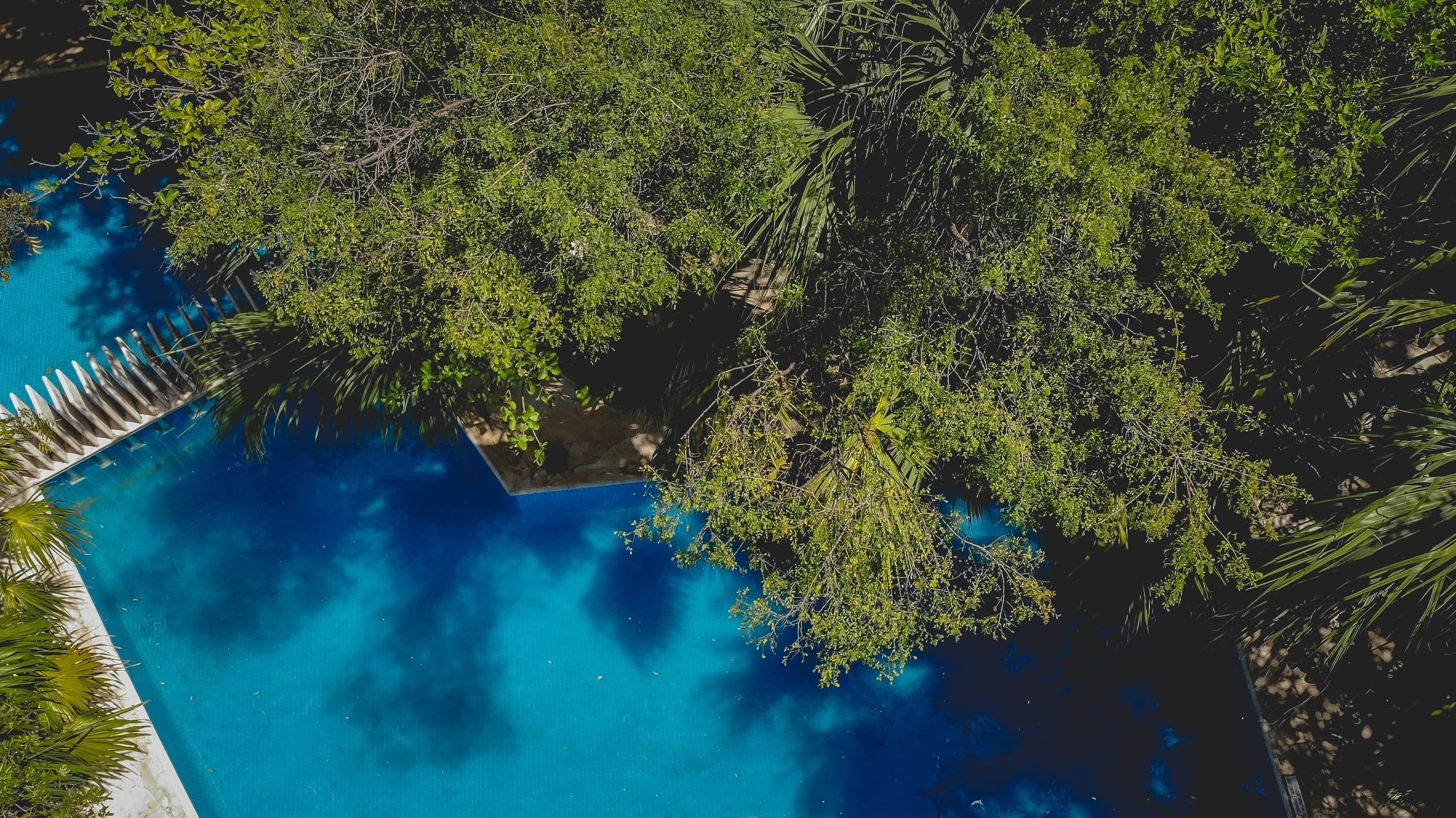 Foto - Sotavento Hotel & Yacht Club