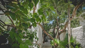 A narrow pathway flanked by lush greenery and white walls, leading to a shaded area. - Hotel Sotavento & Yacht Club (Cancun)