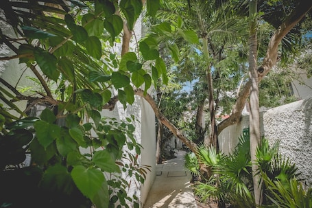 Exterior. Hotel Sotavento & Yacht Club