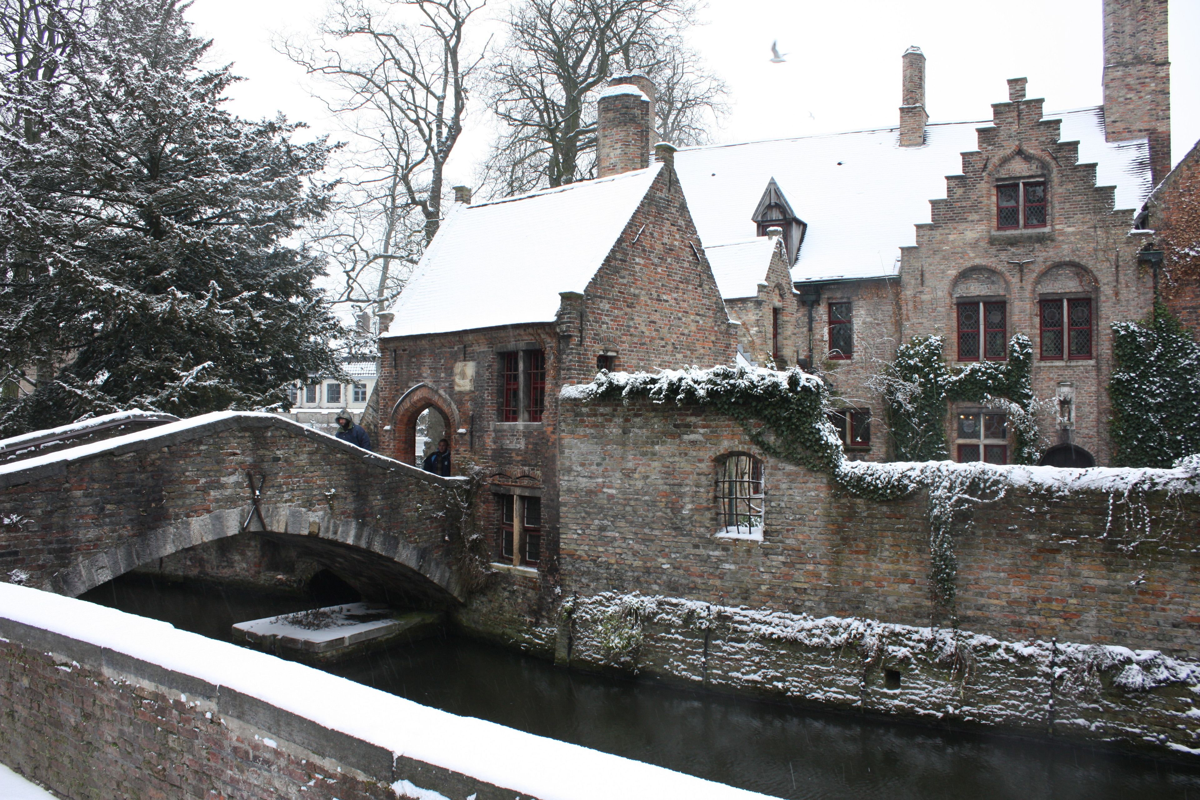 Foto - Guest House Nuit Blanche