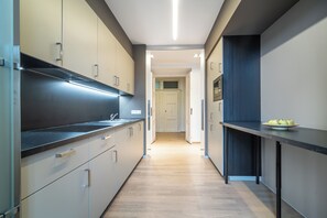 Two Bedroom Apartment, City View | Private kitchen | Fridge, microwave, stovetop, highchair - Royal Road Residence (Prague)