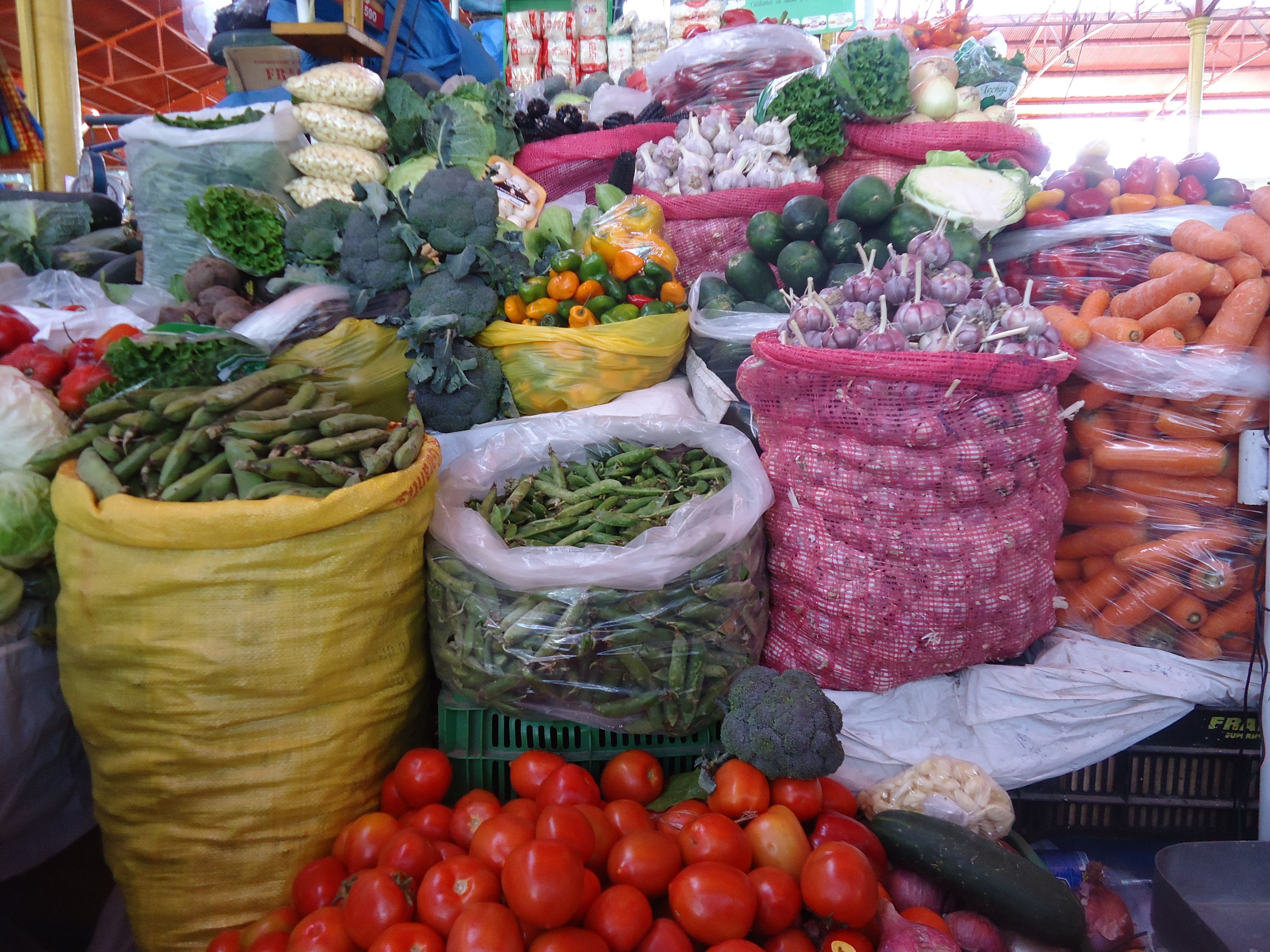 Foto - Casa de Avila