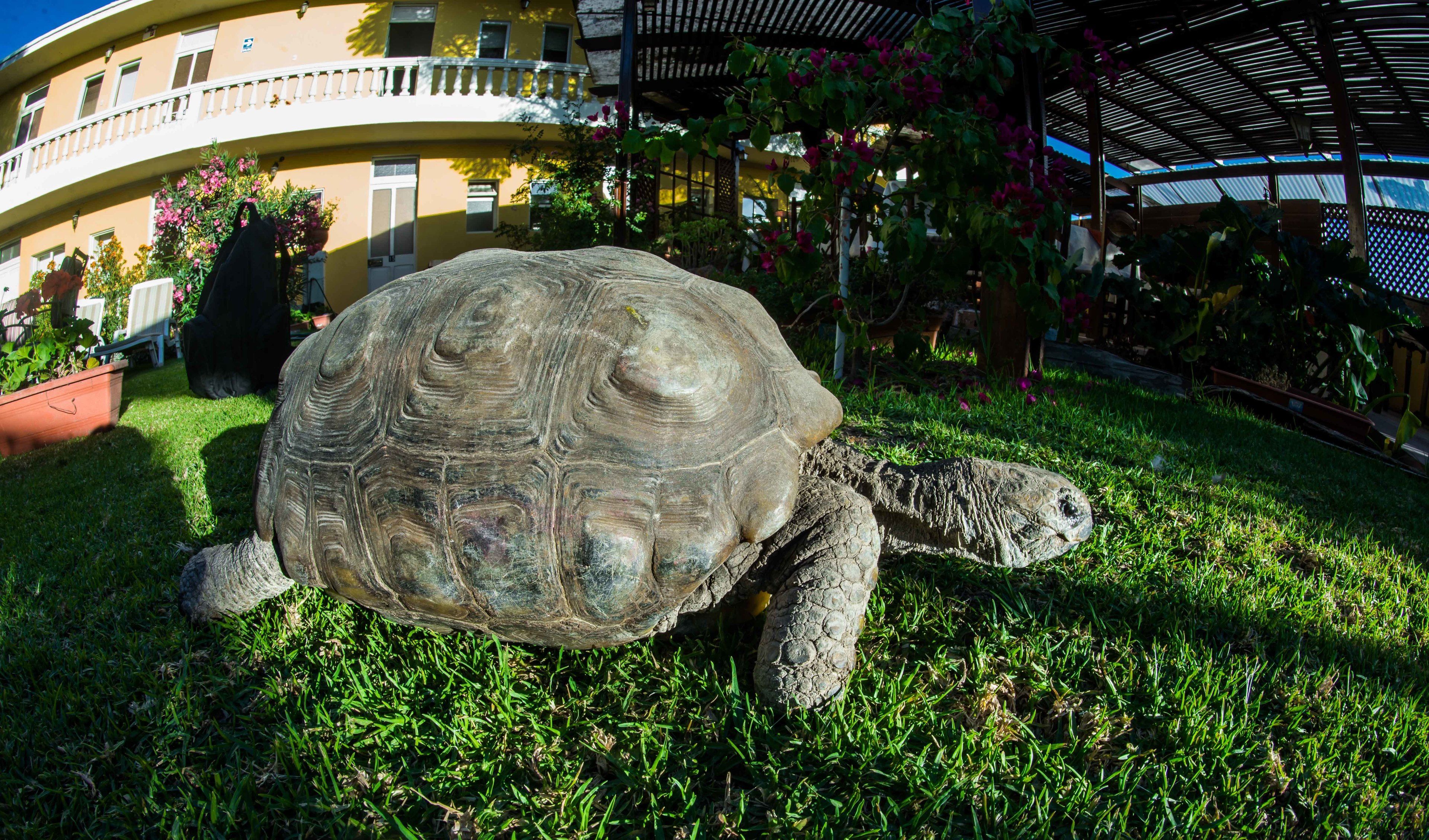 Foto - Casa de Avila