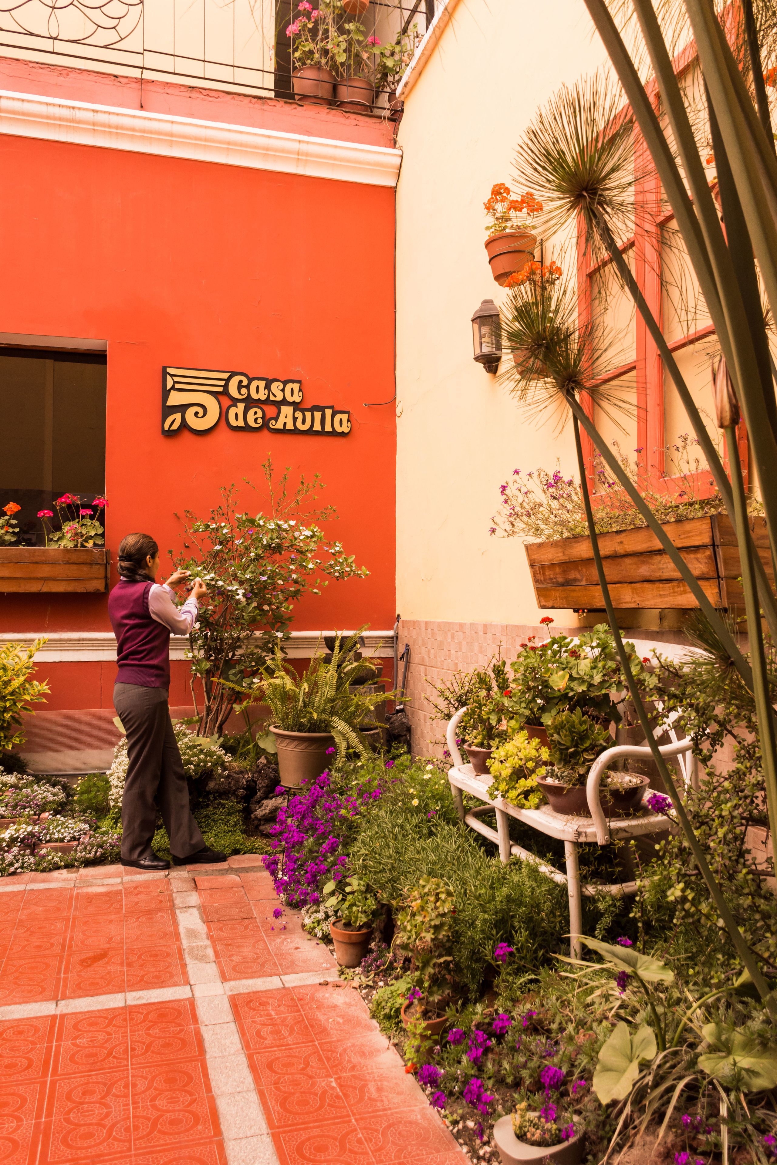 Photo - Casa de Avila