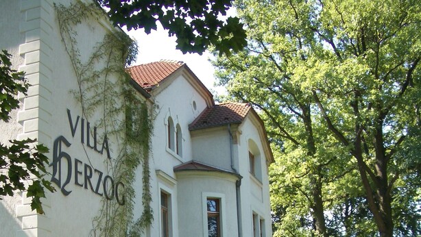 Villa Herzog -rakennuksessa on puutarha, patsas ja suihkulähde.