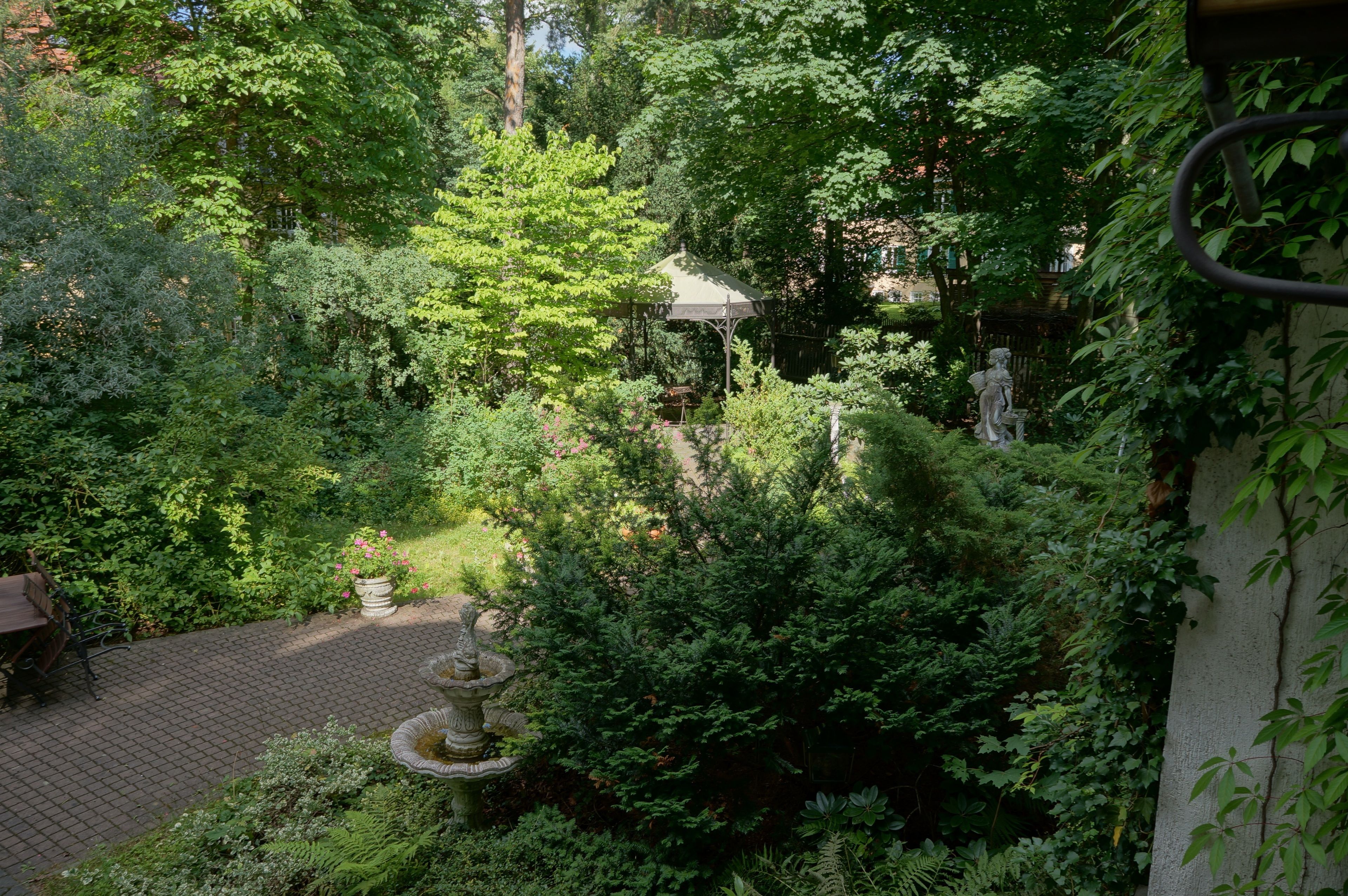 single room | garden view