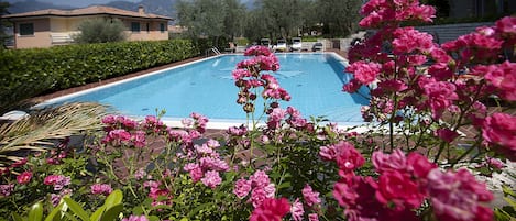 Outdoor pool, pool loungers