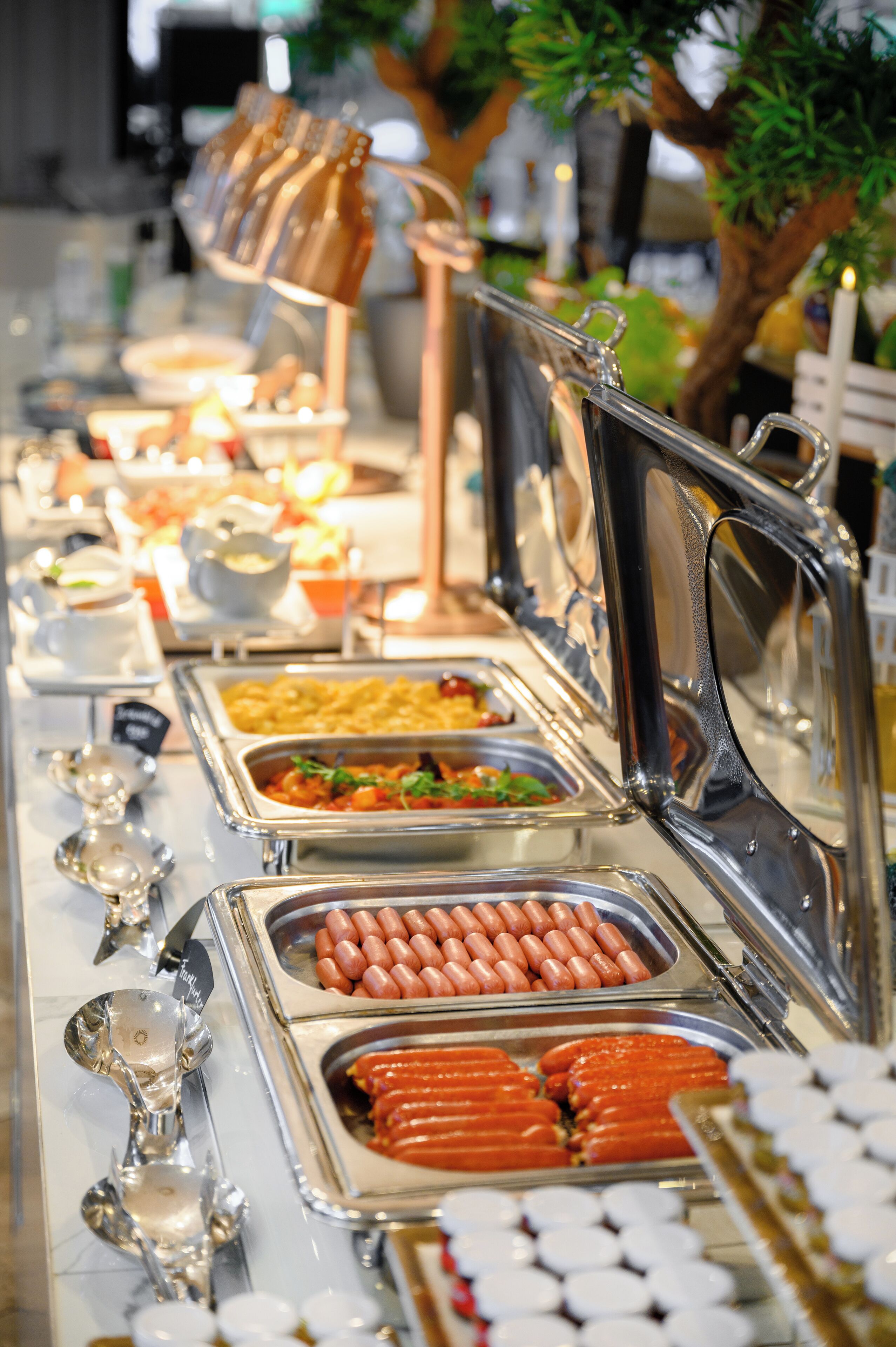 Foto - Hotel Divinus