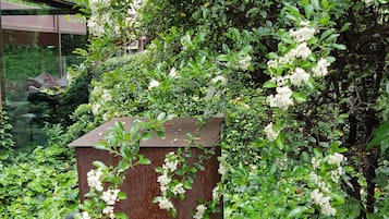 花園