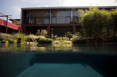 Una piscina al aire libre de temporada, sillones reclinables de piscina. Clocchiatti