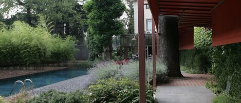 A pool area with a concrete pathway, surrounded by various plants and trees.