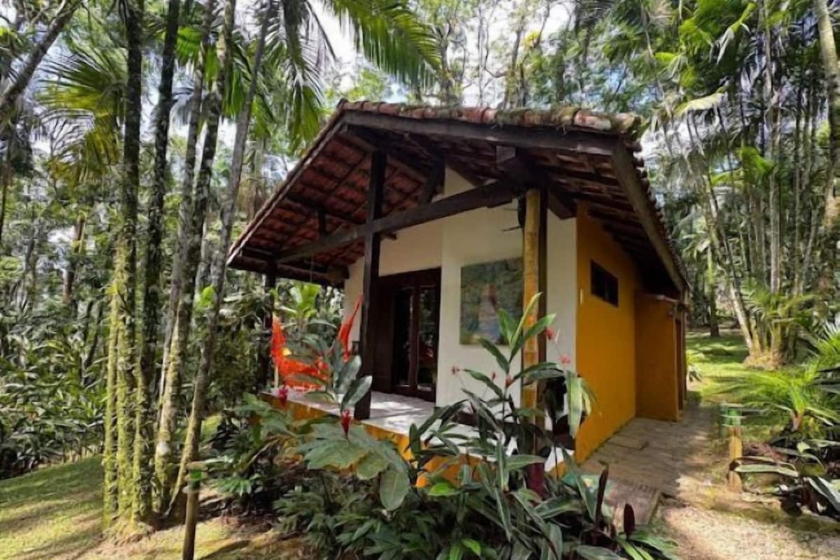 Ropa de cama de alta calidad, minibar y decoración personalizada