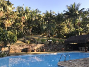 Outdoor pool, pool umbrellas, pool loungers