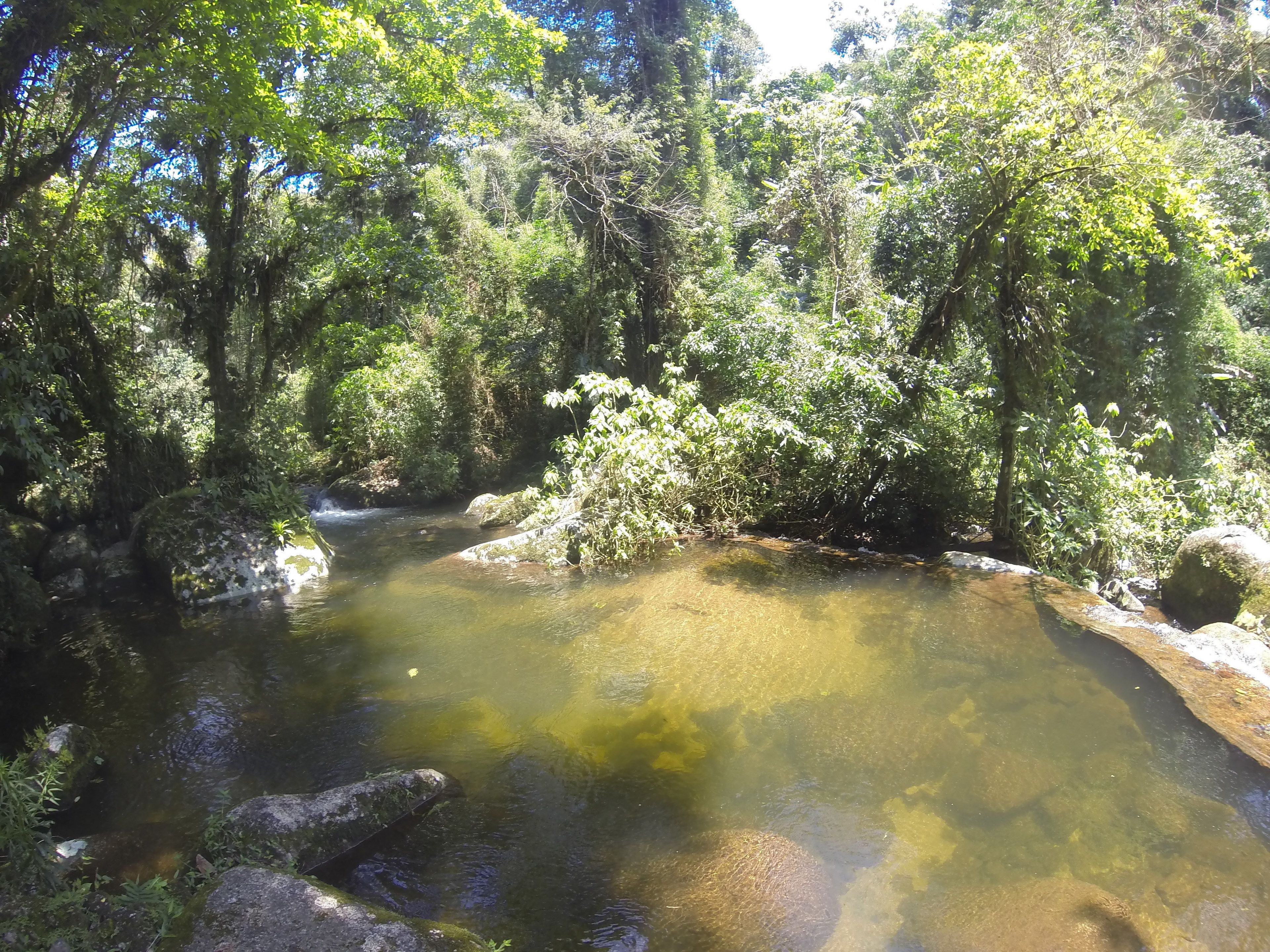 A natural water body surrounded by dense greenery and rocks.