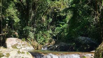 A waterfall in a forested area with clear water and rocks.