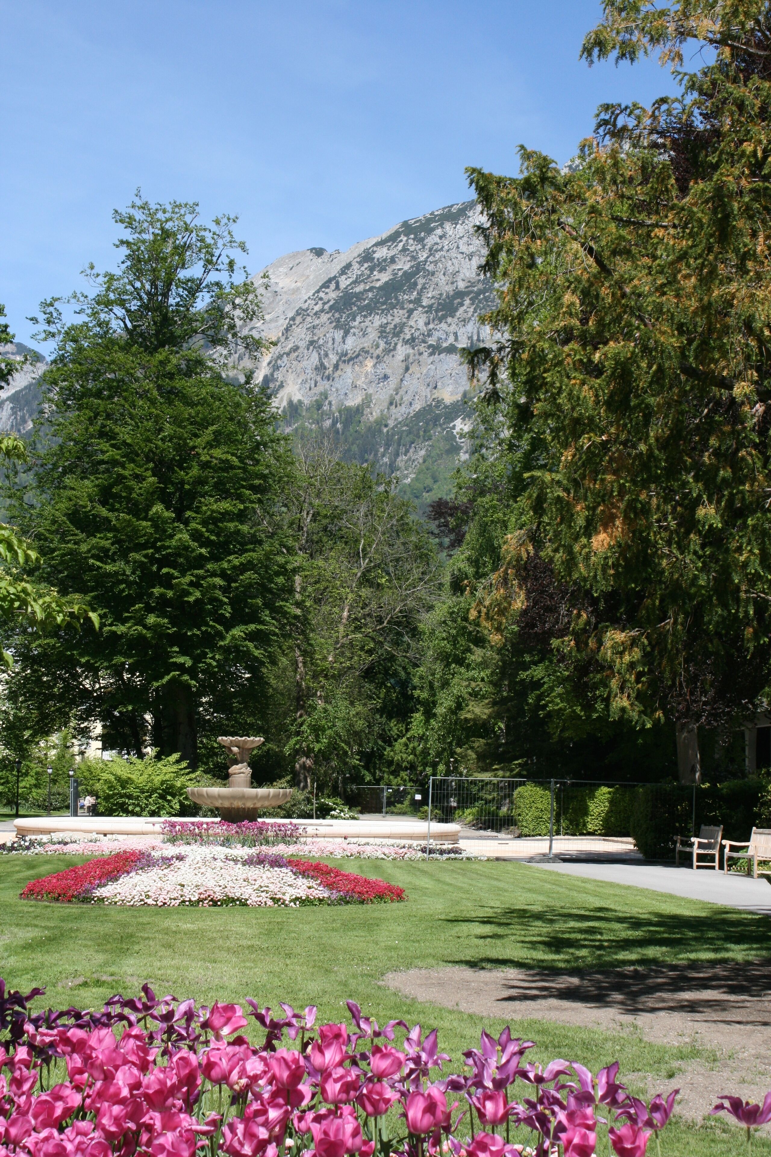 comfort single room | view from room