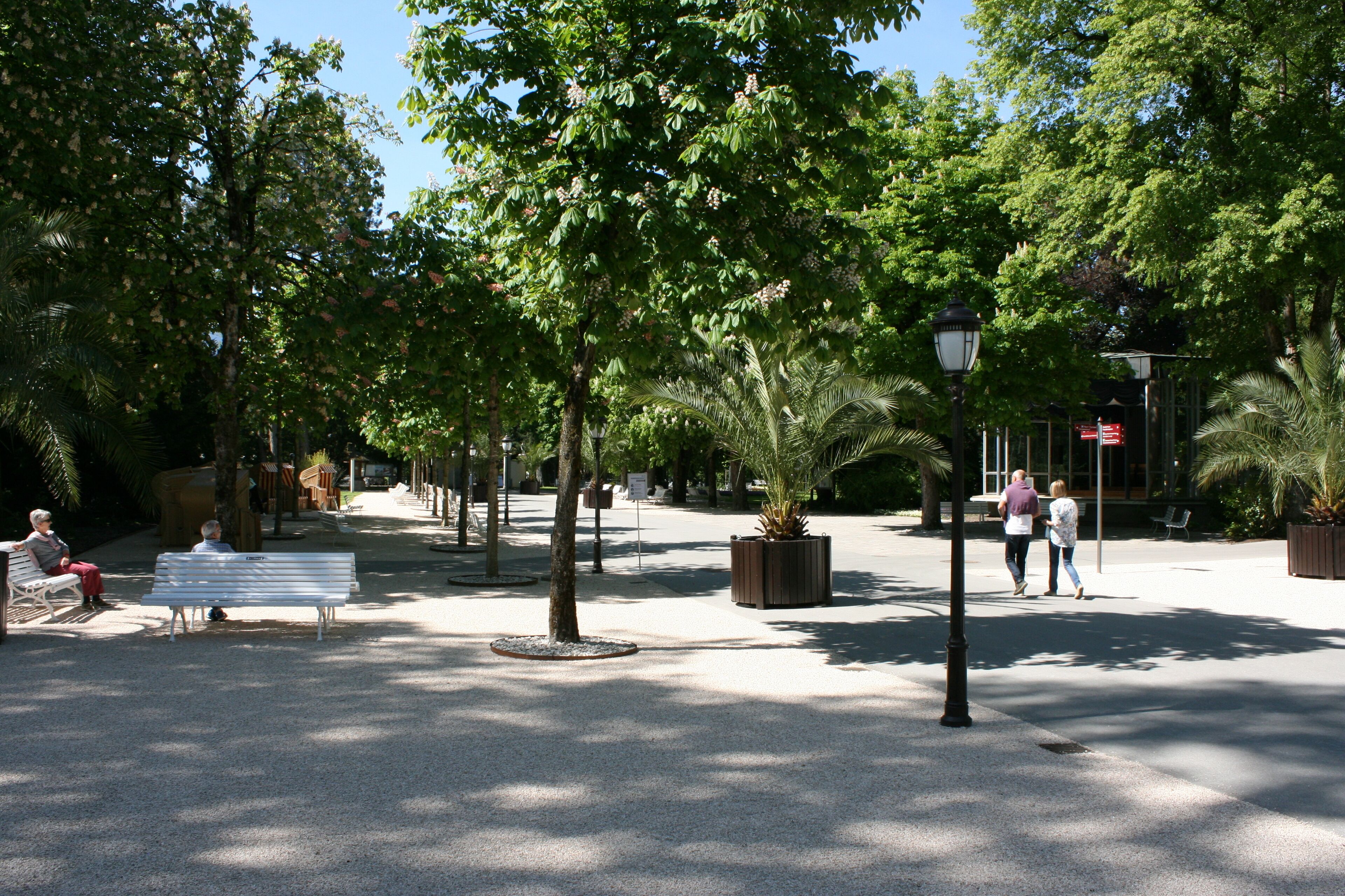 premium double room | view from room