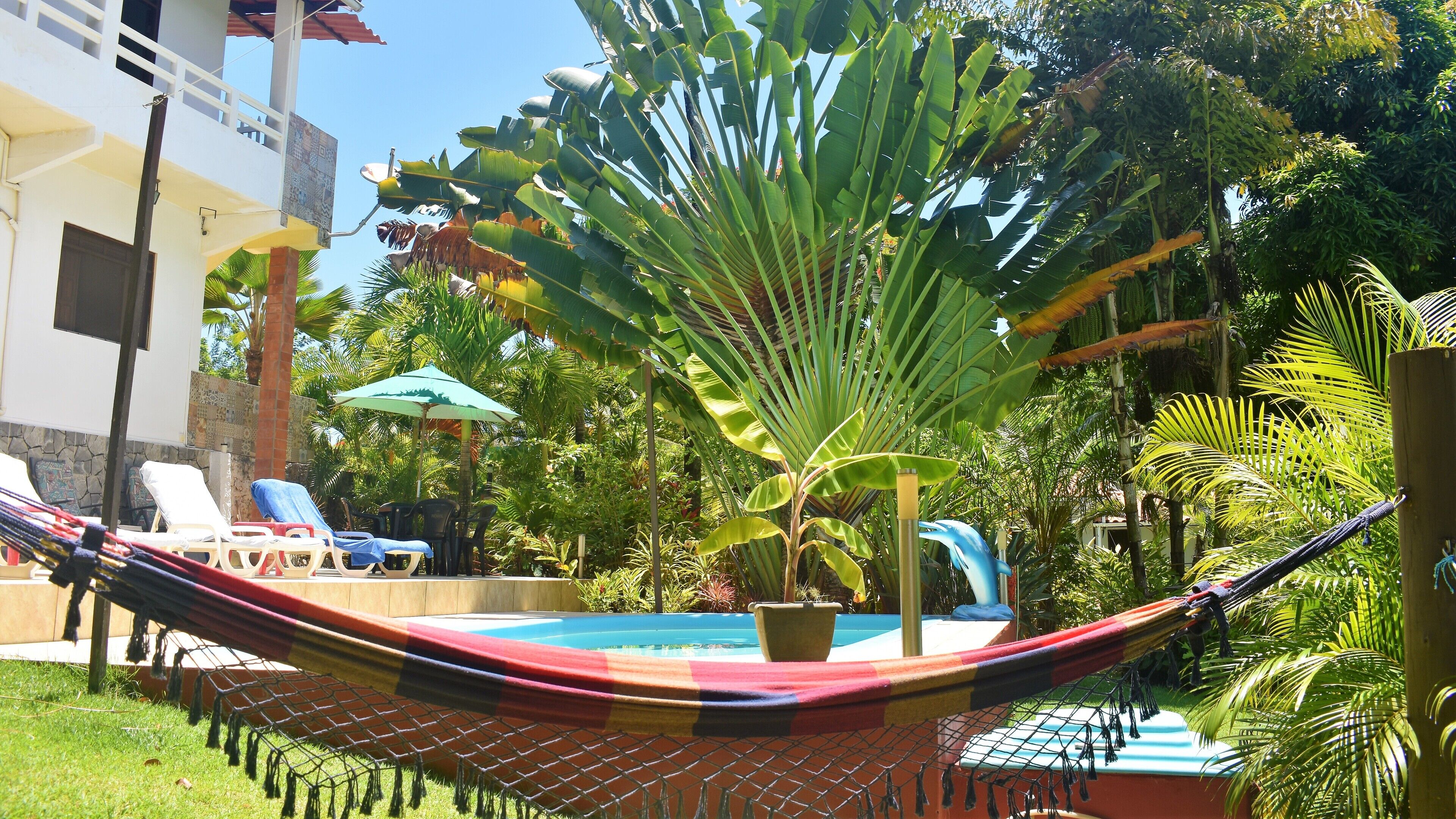 Una hamaca sobre una zona de piscina con sillas de descanso y una planta en maceta.