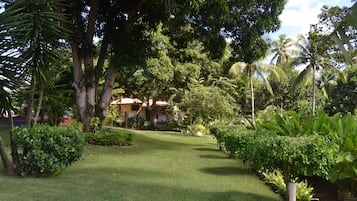 Vista para o jardim