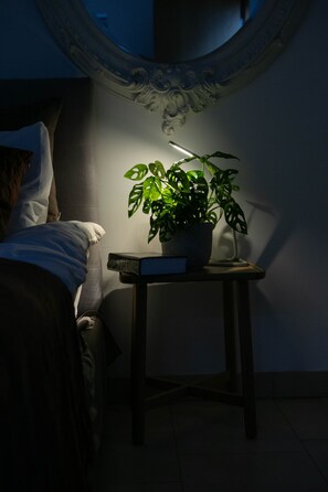 Superior Double Room, Ensuite | Pillow-top beds, individually furnished, desk, iron/ironing board - The Luxury Inn (London)