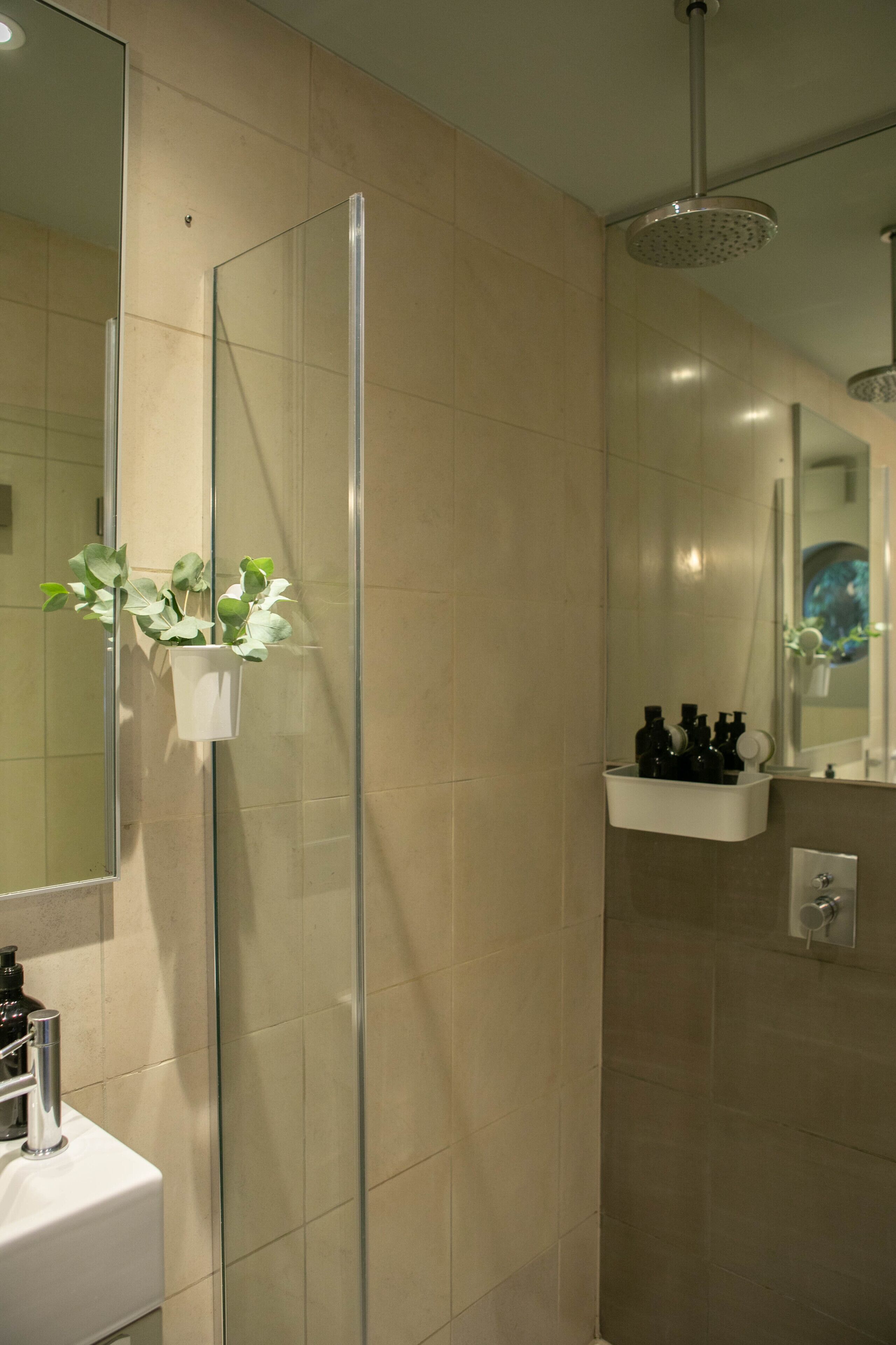 A modern bathroom with a glass shower enclosure, a white sink, and a mirror.