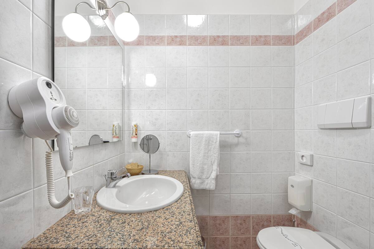 shower, free toiletries, hair dryer, bidet