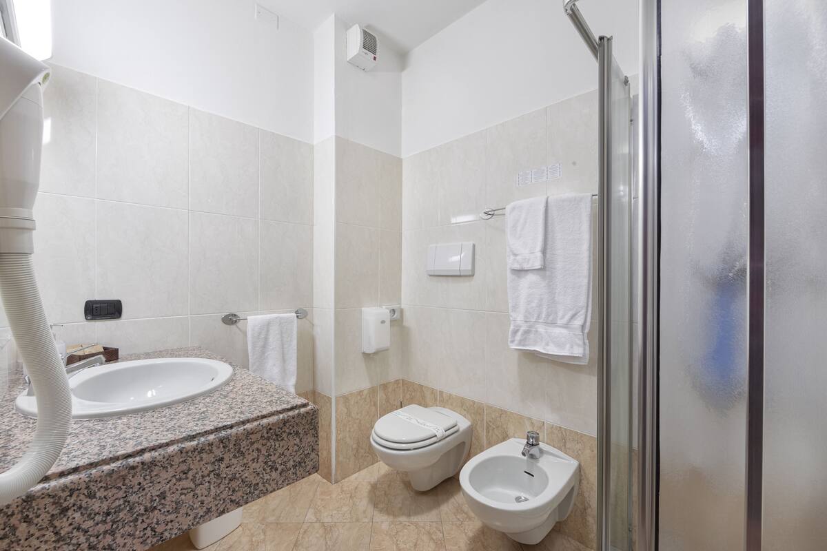 shower, free toiletries, hair dryer, bidet