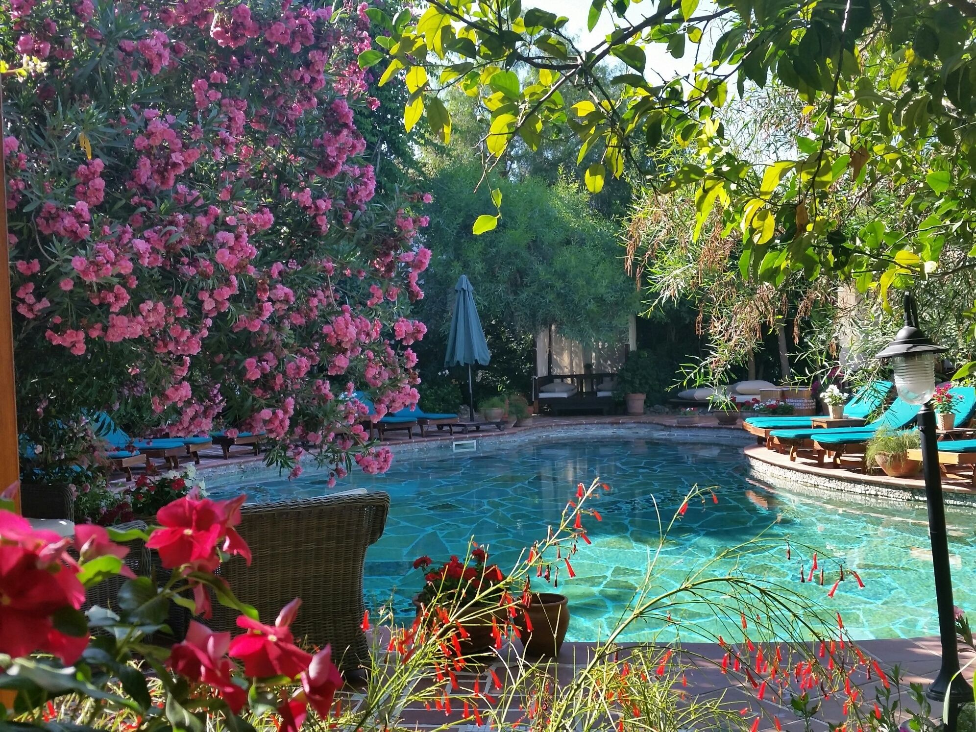 2 piscine all&#x27;aperto, ombrelloni da piscina, lettini