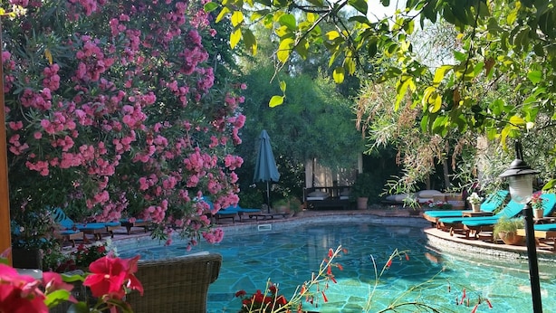 Zona de piscina con agua cristalina, rodeada de exuberante follaje y plantas florecientes de color rosa.