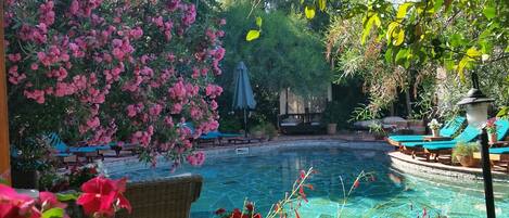 2 outdoor pools, pool umbrellas, pool loungers