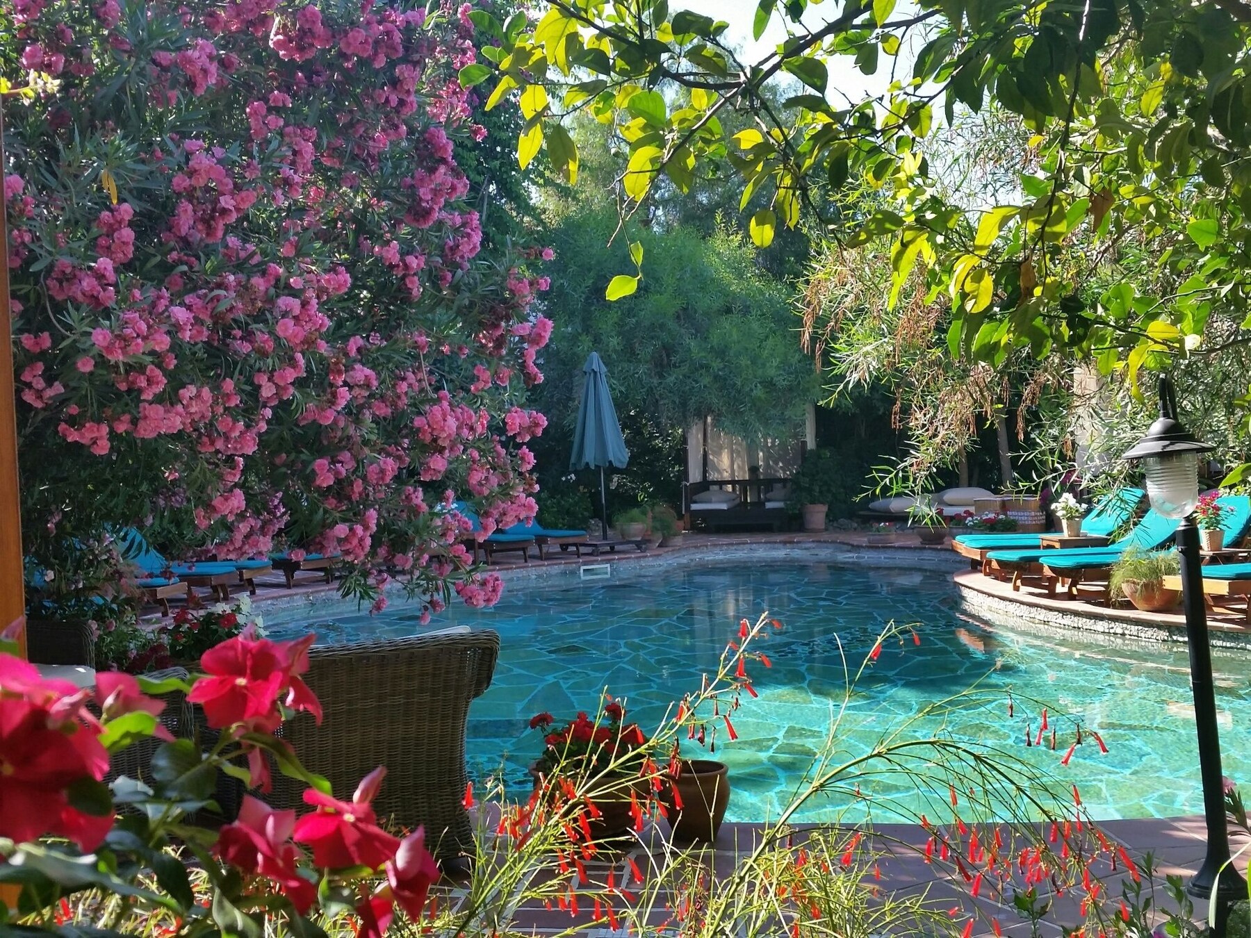 2 outdoor pools, pool umbrellas, sun loungers