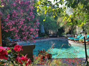 Zona de piscina con agua cristalina, rodeada de exuberante follaje y plantas florecientes de color rosa.
