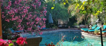 El Vino Hotel Suites - Special Class