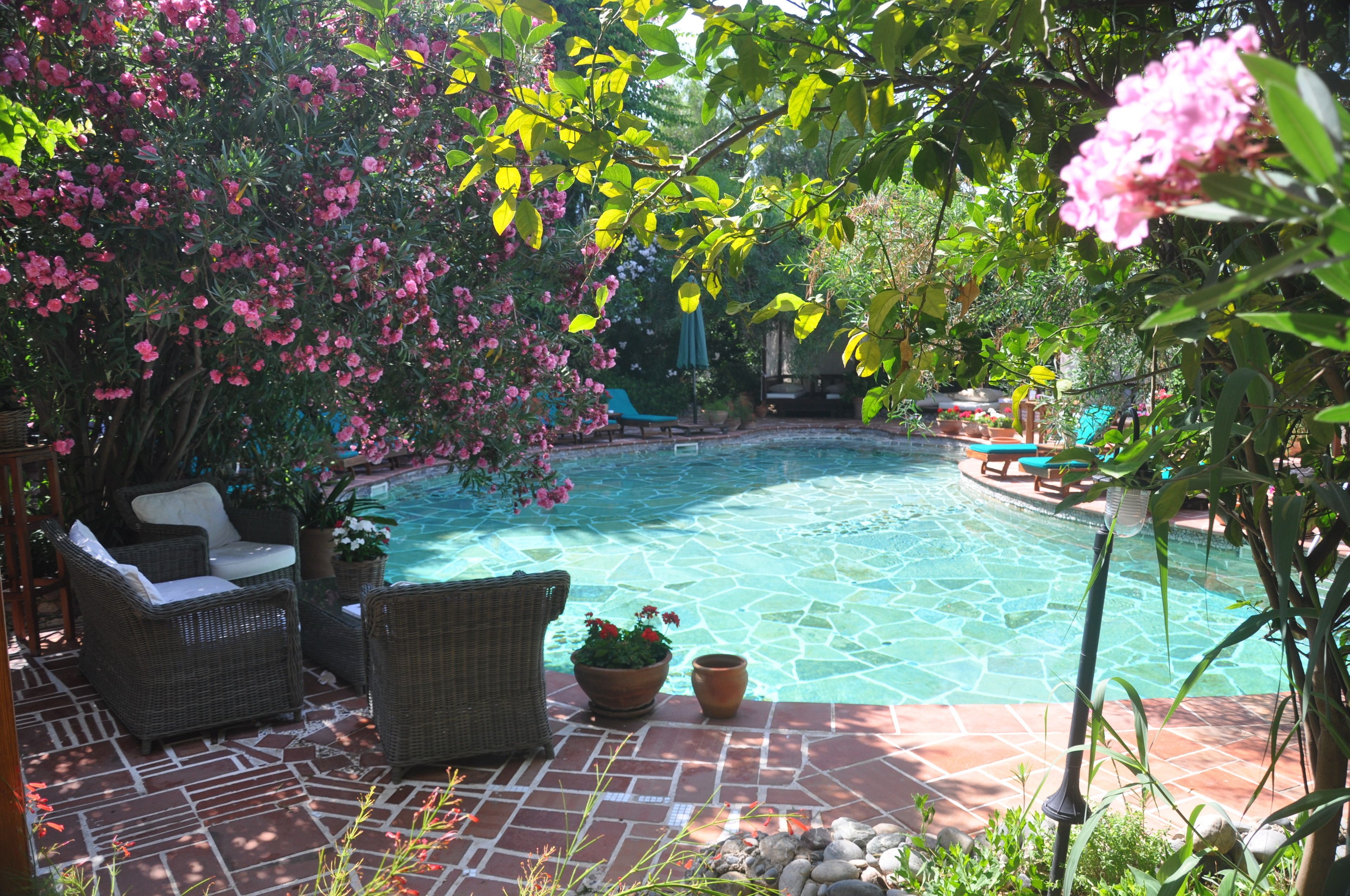 A swimming pool with wicker furniture and potted plants.