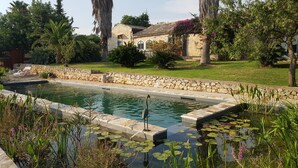 A swimming pool with a stone border, surrounded by lush greenery and a stone wall.