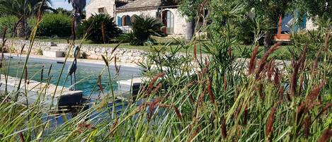 Una piscina al aire libre, una piscina natural