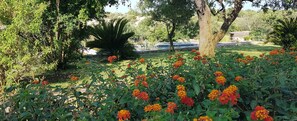 Superior Double Room, Garden View | View from room