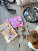 Una mesa de madera con dos bolsas de alimento para perros, un bebedero y una correa.