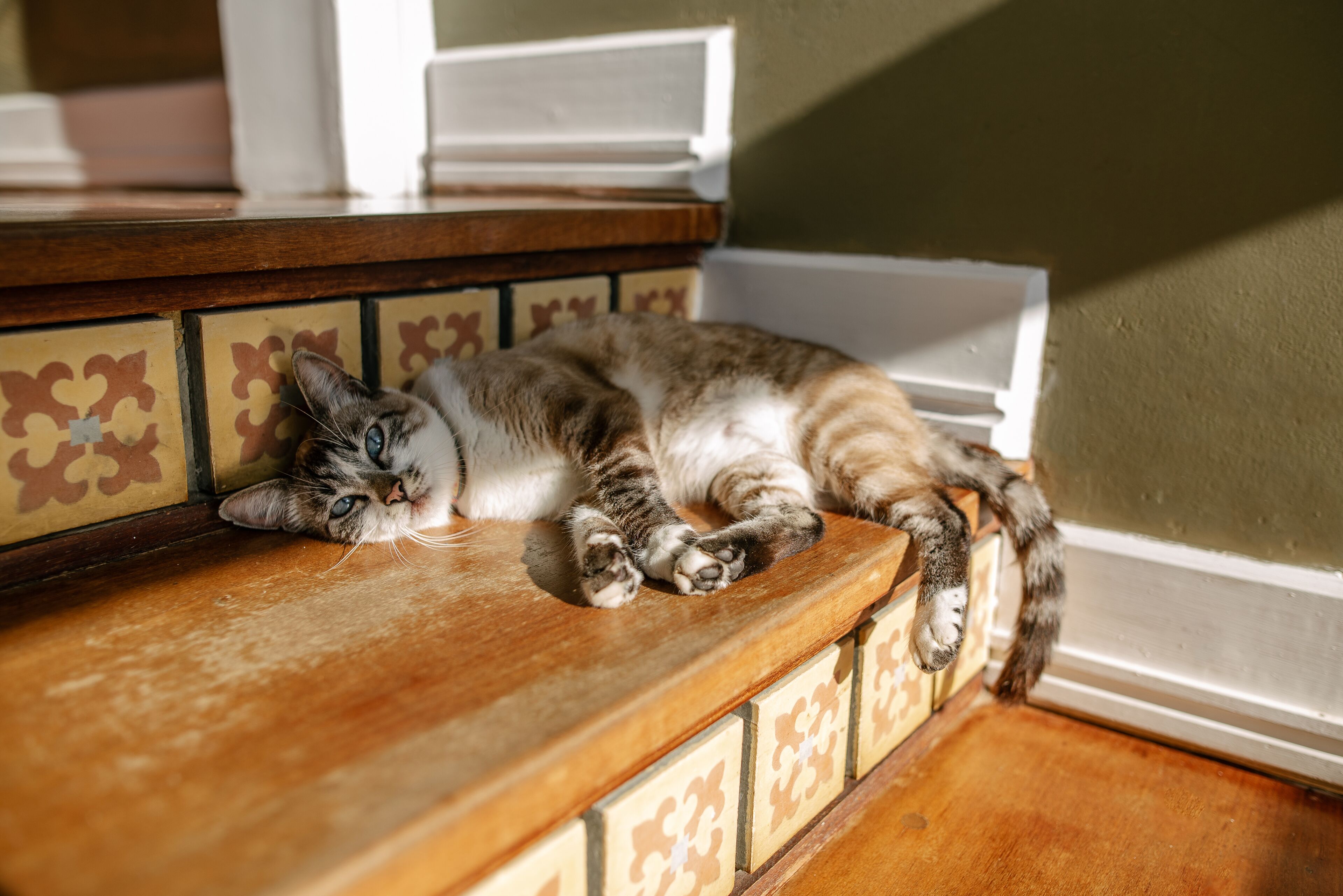 Photo - Casagrande Hotel Boutique