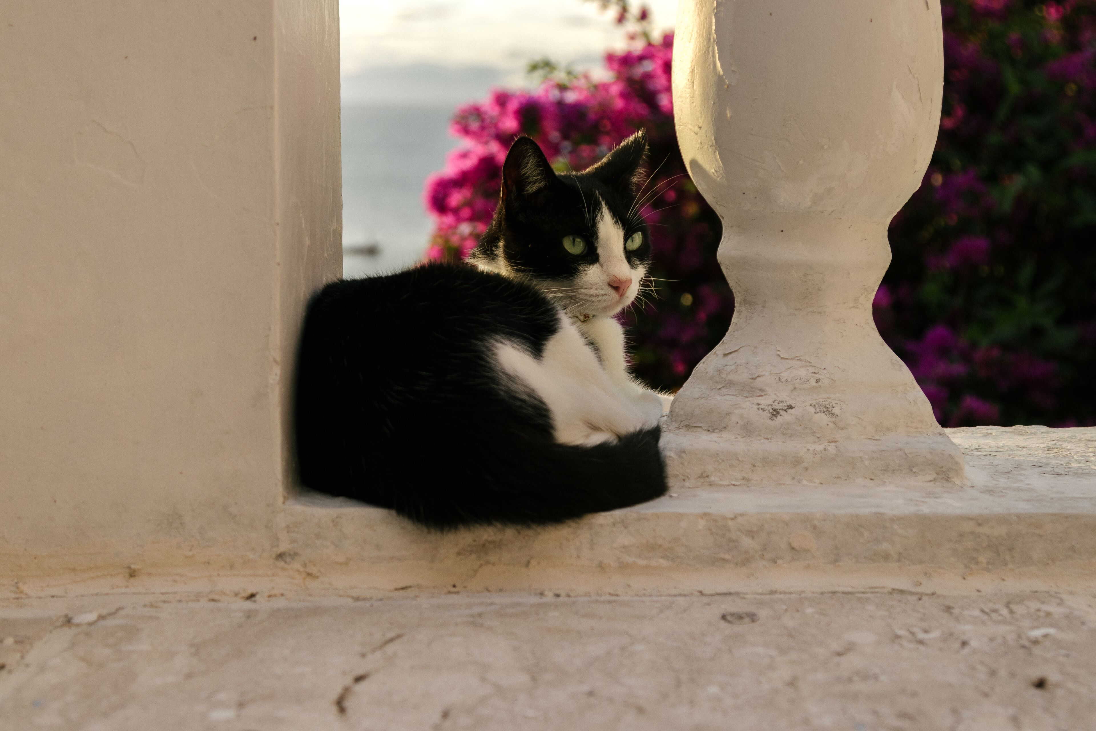 Photo - Casagrande Hotel Boutique