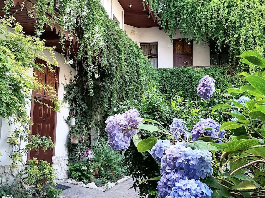 A courtyard with a cobblestone path, surrounded by lush greenery and flowering plants.