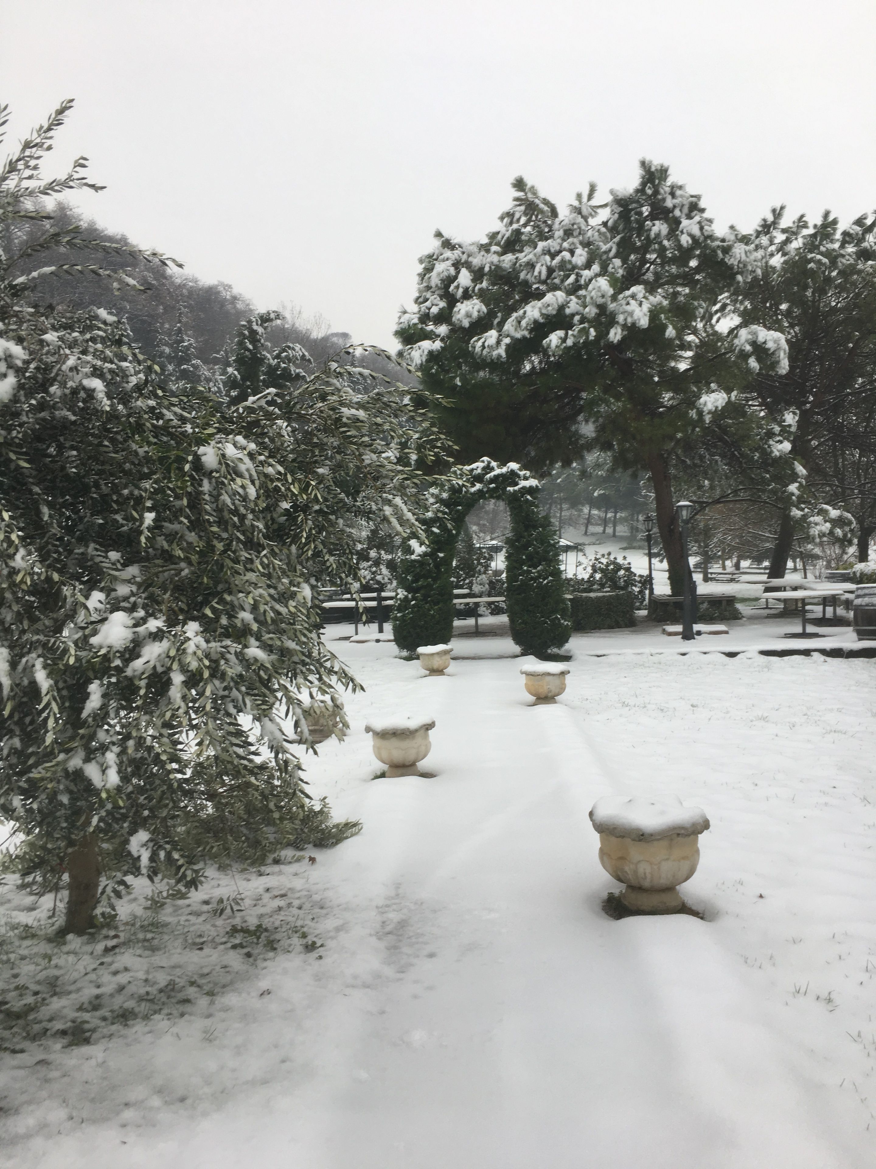Un jardín cubierto de nieve con senderos y macetas.