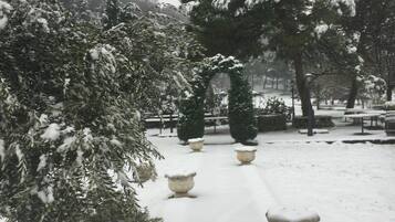 Un jardín cubierto de nieve con senderos y macetas.