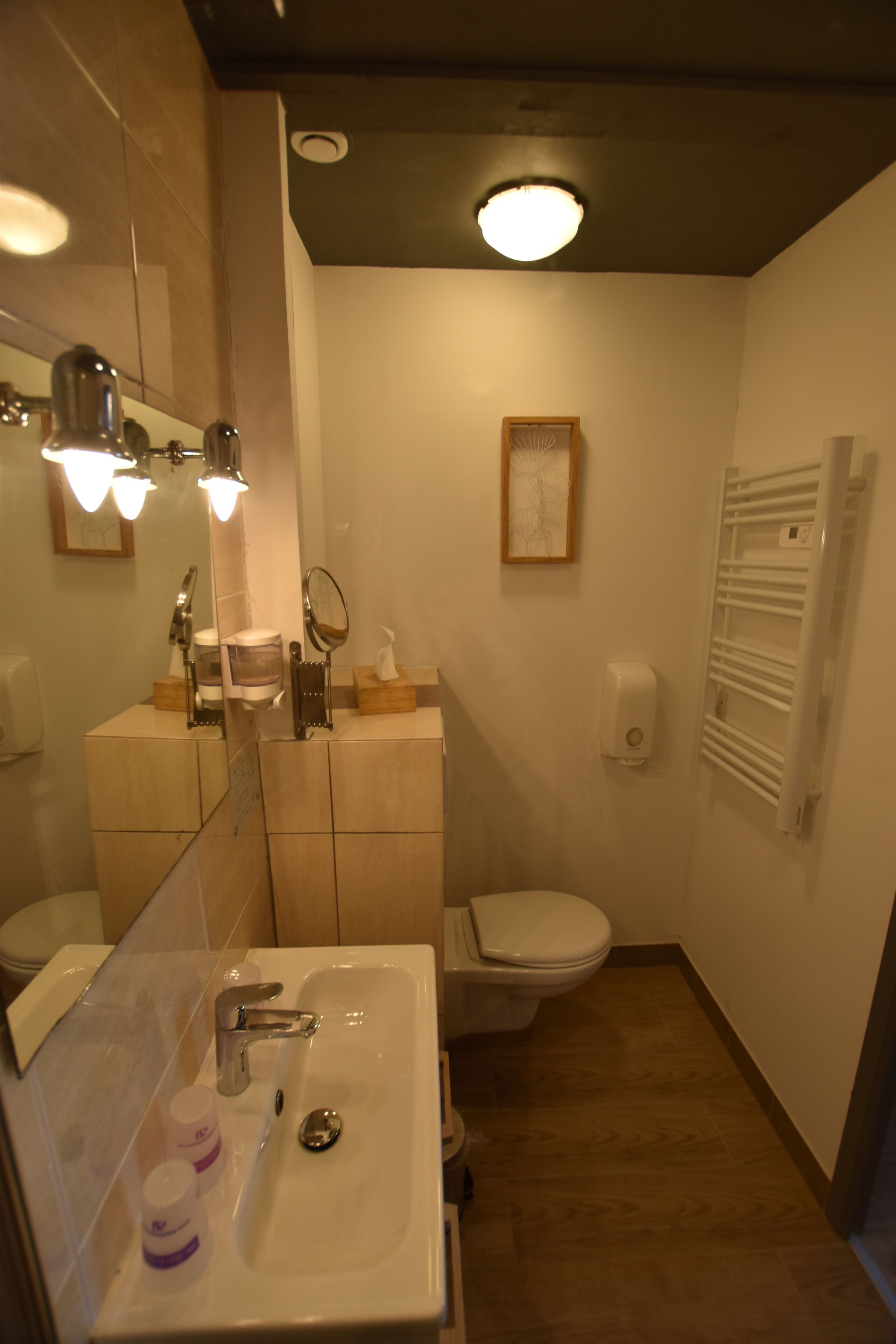 A bathroom with a sink, mirror, toilet, and towel rack.