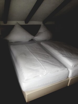 Desk, iron/ironing board, cots/infant beds, rollaway beds - Hotel Gasthof Talblick (Esselbach)