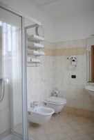 Shower, free toiletries, hair dryer, bidet