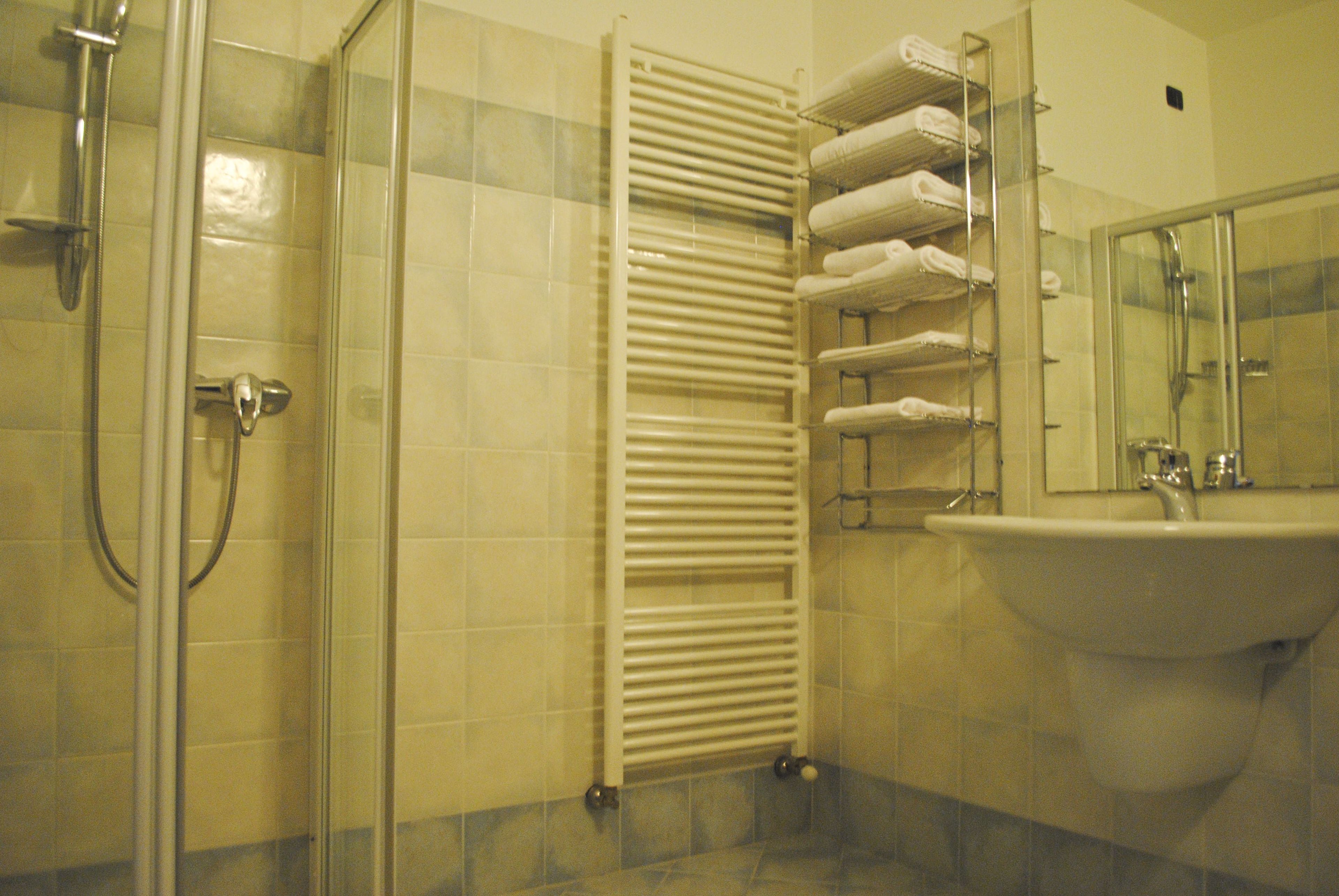 shower, free toiletries, hair dryer, bidet