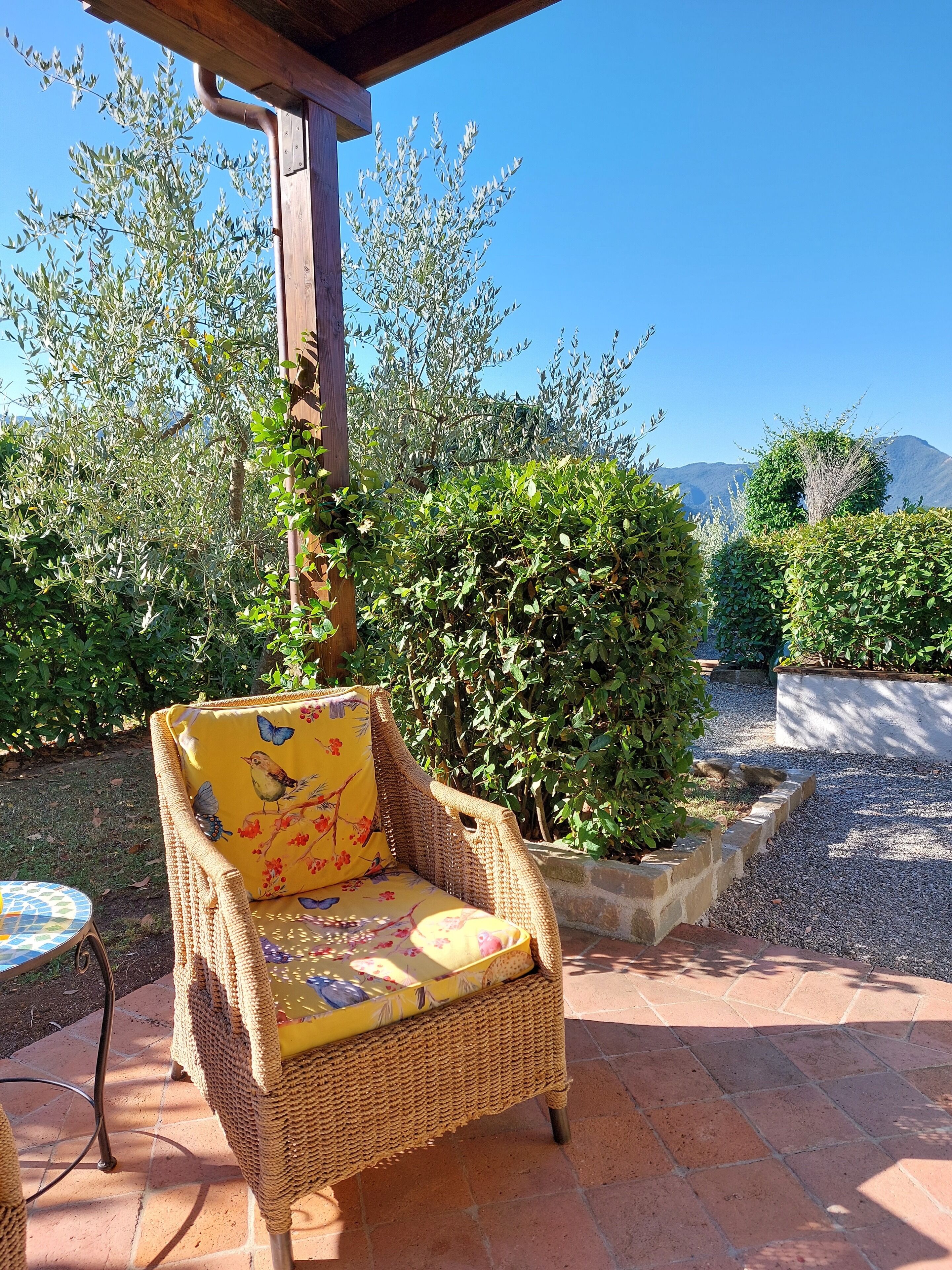 Appartamento Comfort | Terrazza/patio