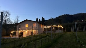 Une maison dotée d’un patio couvert, entourée de rangées de vignes, et surplombée d’un ciel dégagé.