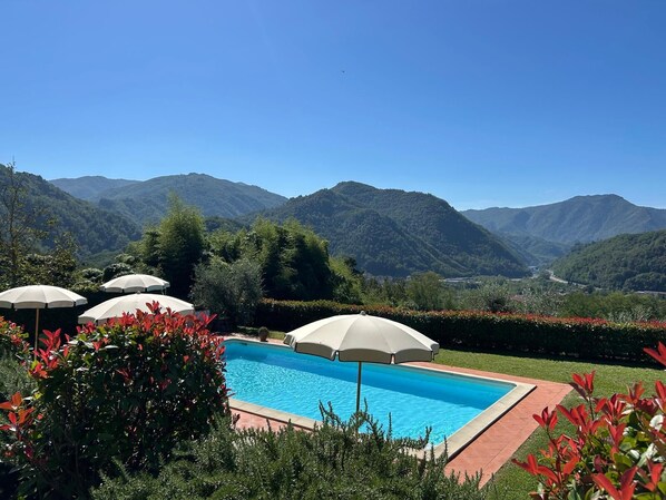 Seasonal outdoor pool, pool umbrellas, pool loungers